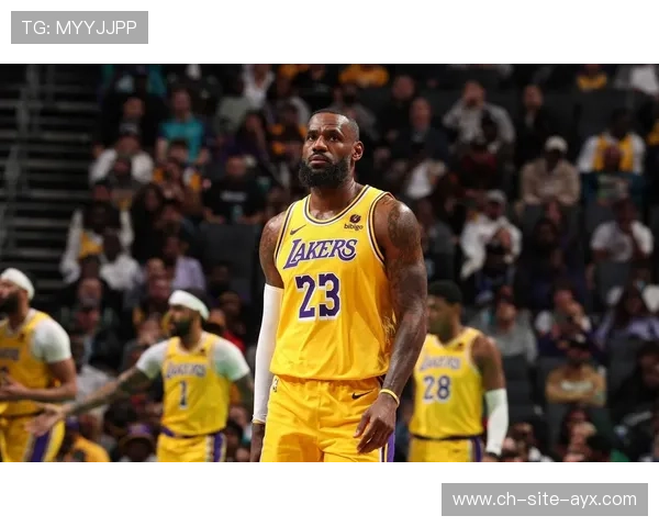 NBA球员脚踝灵活性训练全攻略：提升运动表现的秘密武器